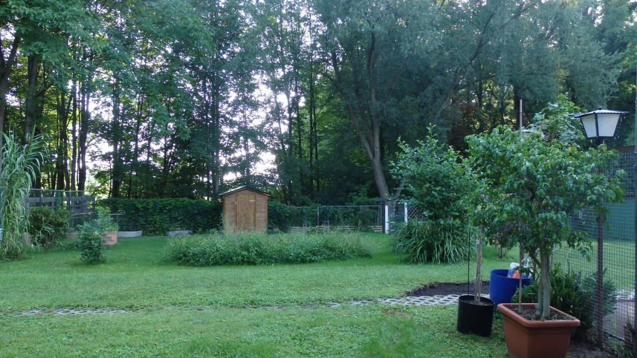 Hotel Sud Alsace Ranspach-le-Bas Екстериор снимка